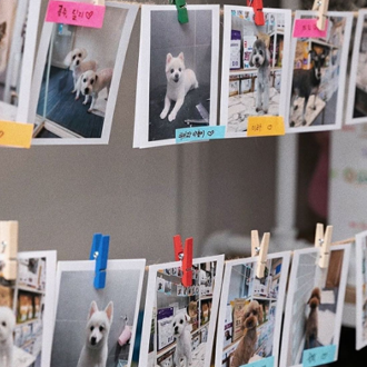 Bada Animal Hospital Photos