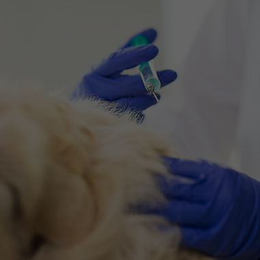 Vaccinations