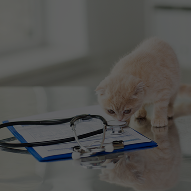 Prescription & Medication