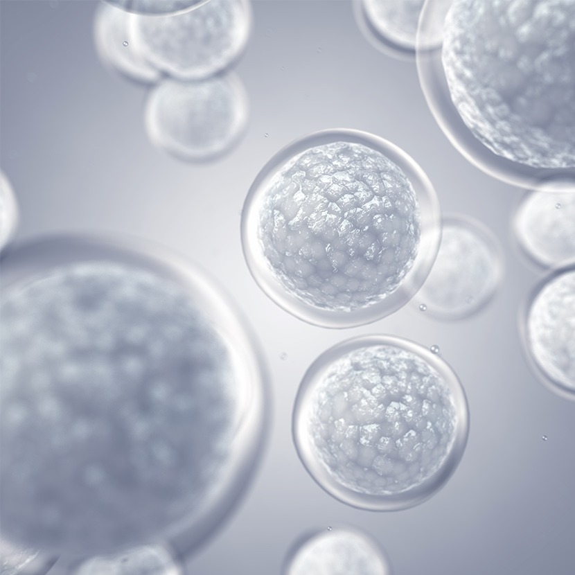 Exosome Therapy Cells